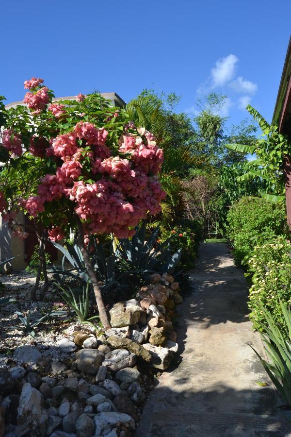 Ecovilla Coral Garden Baoruco Buitenkant foto
