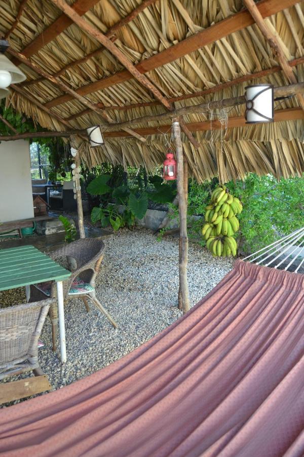 Ecovilla Coral Garden Baoruco Buitenkant foto