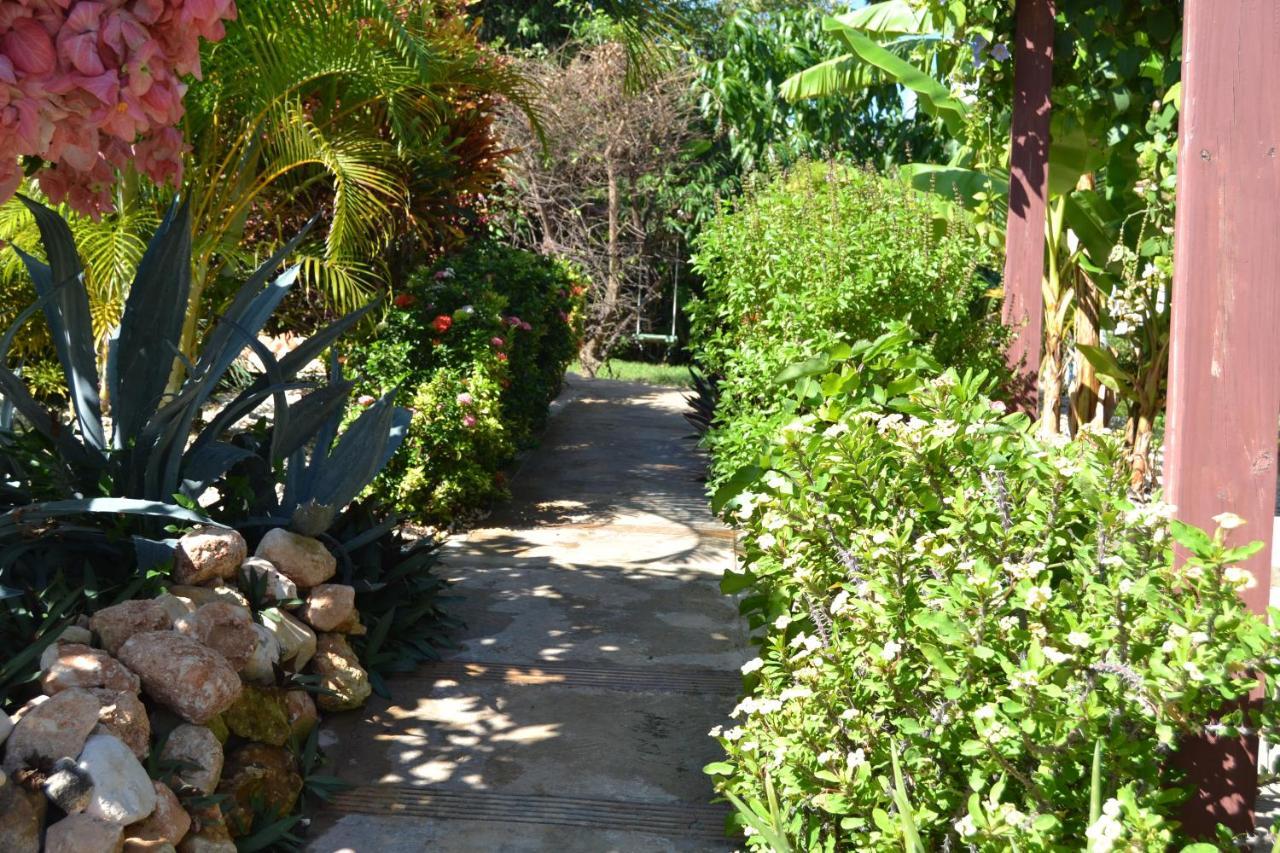 Ecovilla Coral Garden Baoruco Buitenkant foto