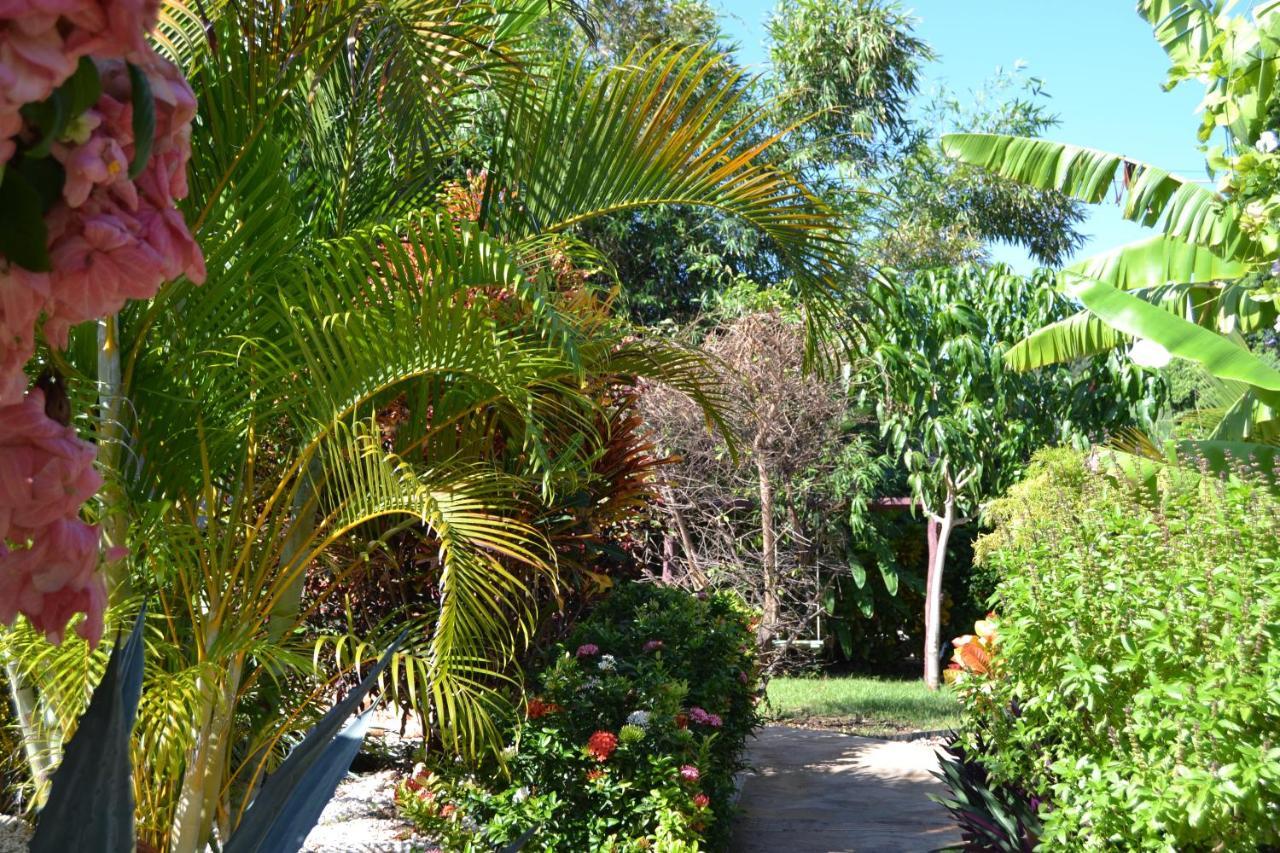Ecovilla Coral Garden Baoruco Buitenkant foto