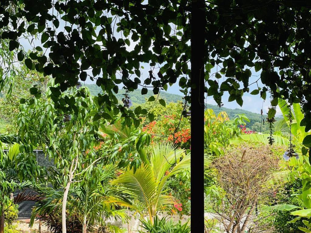 Ecovilla Coral Garden Baoruco Buitenkant foto